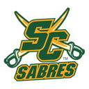 Stoney Creek Sabres logo